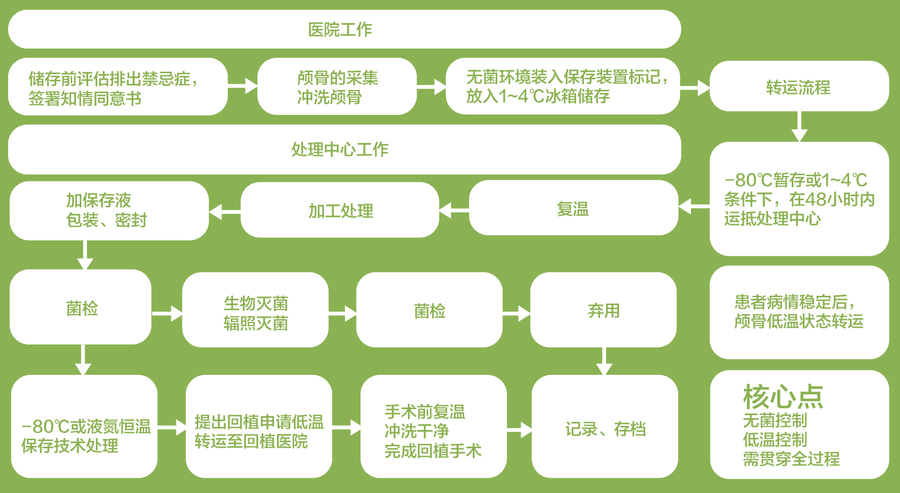 自体颅骨处理及储存流程介绍